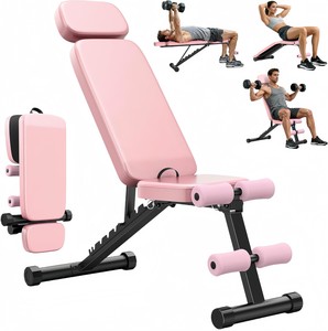 Banco de Pesas Ajustable de Venta Directa de Fábrica CZ, Banco Utilitario Plegable Inclinable con Reposacabezas y Banda de Resistencia para Gimnasio en Casa - Product Image 1