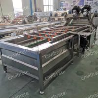 Vbjx Commerciële Automatische Appel-En Groente-Reinigingsmachine Voor Fruit En Dunschiller Met Ozon