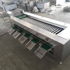 Fruits Vegetable Onion Grape Orange Peach Pepper Plum Pear Nectarine Blueberry Sorter Grading Sorting Machine Price