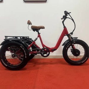 20 pollici Trike elettrico adulti 750w pneumatico grasso motore 3 <span class=keywords><strong>ruote</strong></span> <span class=keywords><strong>bici</strong></span> elettrica elettronica <span class=keywords><strong>tre</strong></span> <span class=keywords><strong>ruote</strong></span> adulti Cargo triciclo elettrico - Product Image 1