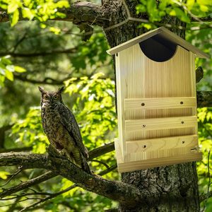 Ahşap kuş evi birçok baykuş ve kuş türü için uygundur - Product Image 5