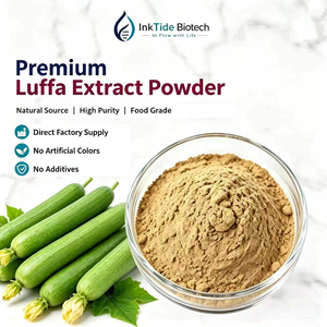 Extracto <span class=keywords><strong>de</strong></span> Luffa Dispersable en Agua <span class=keywords><strong>de</strong></span> Alta Pureza, Polvo <span class=keywords><strong>Vegetal</strong></span> Natural, Materia Prima para Bebidas Sólidas, Fórmulas Botánicas - Product Image 1