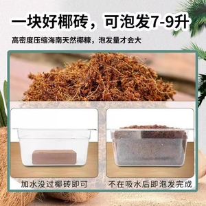 นำเข้าโคโคพีทบล็อก 0.6 กก. ความดูดซึมปานกลาง ระบายอากาศได้ดี สำหรับปลูกในกระถาง - Product Image 3