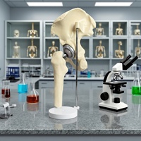 Implant de hanche, remplacement d'articulation artificielle, taille réduite, os artificiel certifié CE/ISO