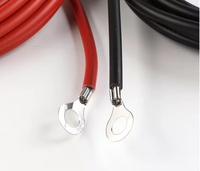Cable de Extensión Solar Aislado de PE de Cobre Negro 4 AWG 25mm con Terminales de Anillo M8 para Estación Matriz PN-OT-2MTS 1.5KV 90C