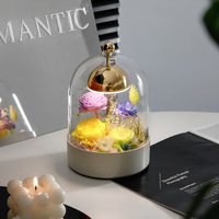 Roses éternelles préservées sous cloche en verre, lampe de table LED à intensité variable, décoration d'intérieur, rechargeable, fleurs éternelles E Forever
