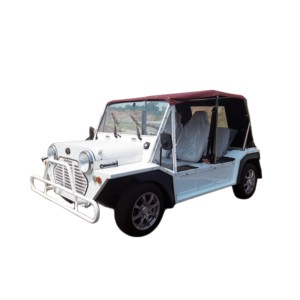 <span class=keywords><strong>Voiture</strong></span> de croisière de luxe à <span class=keywords><strong>prix</strong></span> avantageux, EMoke <span class=keywords><strong>Mini</strong></span>-Derived, véhicule électrique à propulsion - Product Image 2