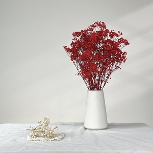 Fleurs de Gypsophile Séchées en Vrac - Nouveauté 2025 Décoration de Mariage Cadeaux de la Saint-Valentin Décoration Intérieure Florale Sabe - Product Image 5