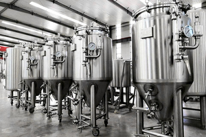 Fermentador de <span class=keywords><strong>Cerveza</strong></span> Cónico de Acero Inoxidable con Sistema CIP de 100L a 5000L - Product Image 2