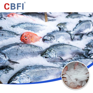 CBFI BF3000 3 тонны в день, Ледогенератор хлопьев для водных товаров - Product Image 4
