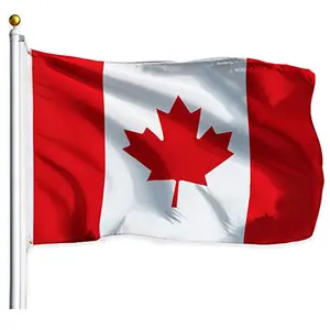 2023批发聚酯加拿大国旗横幅定制印刷国家3x5英尺加拿大国旗全球国旗