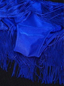 ชุดเต้นลาตินสำหรับเด็กผู้หญิงอายุ 6-16 ปี เสื้อครอปท็อปพร้อมกระโปรงสั้น สำหรับการแข่งขันเต้นรำ งานปาร์ตี้ และการแสดง - Product Image 5