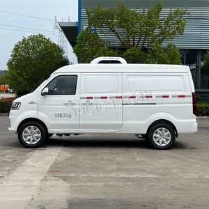 Nhà Máy Bán Hàng Trực Tiếp 1-4tons Xăng Mini Tủ Đông <span class=keywords><strong>Van</strong></span> Tủ Lạnh Xe Tải - Product Image 3