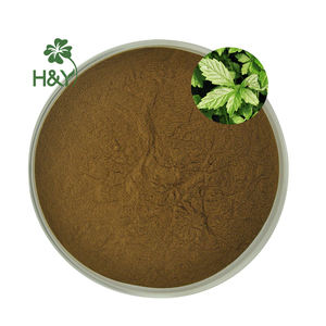 Jiaogulan Gypenoside 98% Extrato Gynostemma Gynostemma Pentaphyllum Cápsulas - Product Image 2