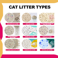 Haisenpet Hysen Clean Clean+ Prix Réduit Promotion Éco Litière pour Chat à la Bentonite Neco Sand Arena Para Gatos Produit Partenaire