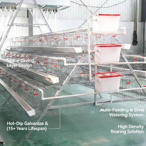 Cage de poulet <span class=keywords><strong>prête</strong></span> <span class=keywords><strong>à</strong></span> <span class=keywords><strong>pondre</strong></span> Cage de poulet pondeuse automatique au Nigeria - Product Image 4