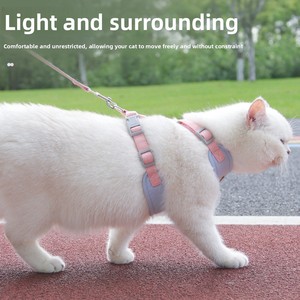 Correa y Arnés para Perro Pequeño XS, Diseño Anti-Tirones, Detalles Reflectantes, Chaleco Estilo H para Paseos al Aire Libre - Product Image 5