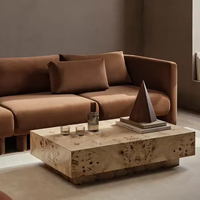 Table à thé d'intérieur minimaliste pour la maison table de centre en bois de loupe de peuplier carrée pour la chambre
