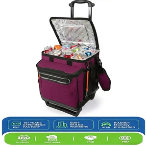 Bolsa de <span class=keywords><strong>Vino</strong></span> Portátil con Ruedas para Viajes y Picnic, Enfriador de <span class=keywords><strong>Vino</strong></span> con Aislamiento y Ruedas para Camping - Product Image 1