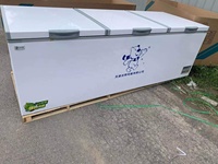 Congélateur horizontal commercial grande capacité à tubes de cuivre, OEM/Bonne réputation et longue durée de vie, pour la congélation de crèmes glacées