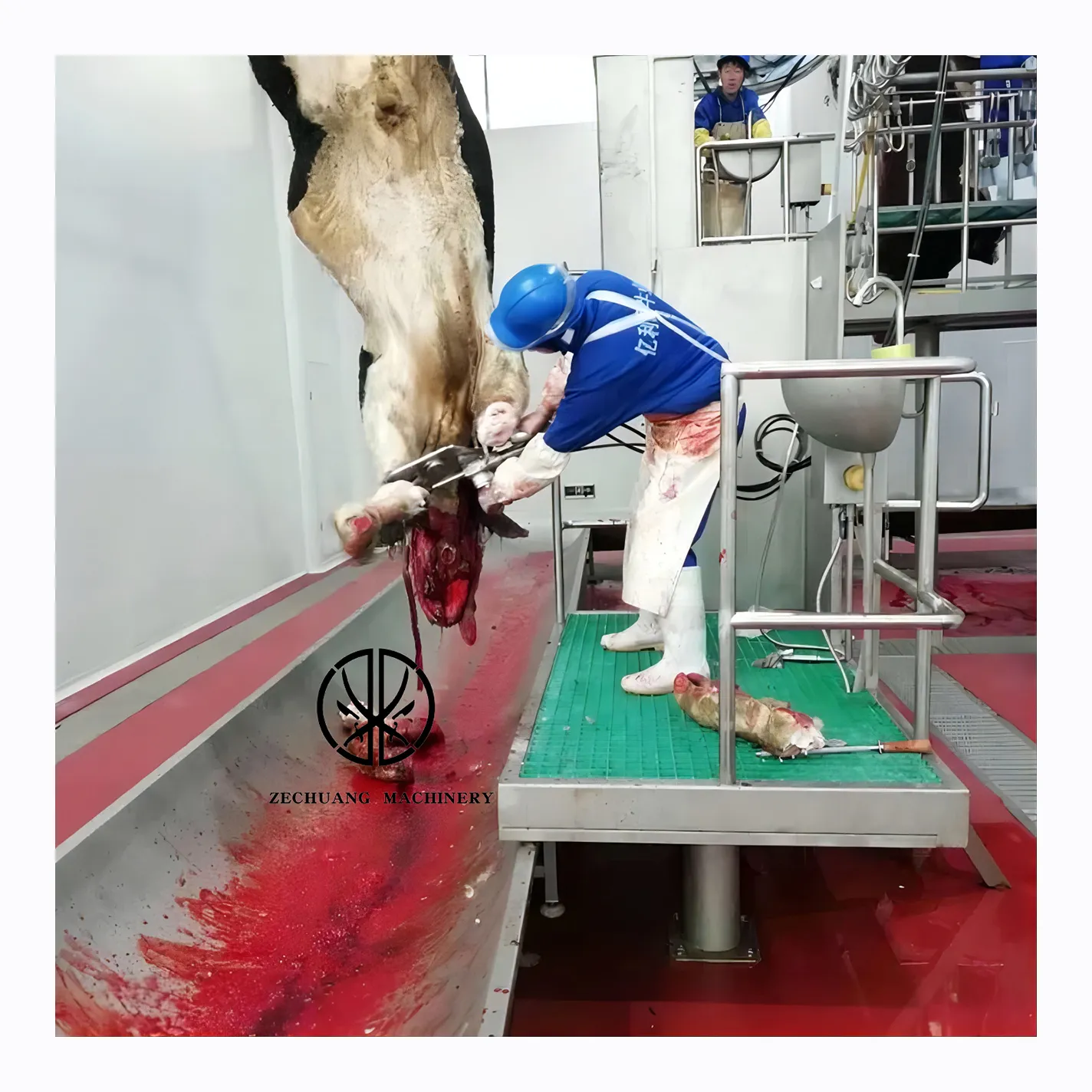 China Manufacture Sheep Abattoir Equipment Collect The Sheep And Goat Or Lamb Blood With Slaughterhouse