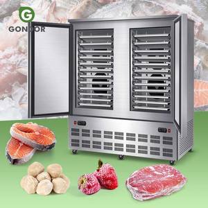 Máquina de Congelación Rápida Criogénica Horizontal de 300 kg para Bandejas de Comida Rápida y Masa, China - Product Image 1