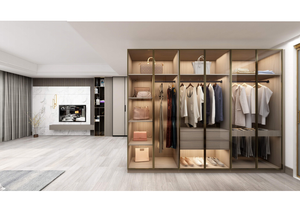 BALOM 2025 <span class=keywords><strong>Armadio</strong></span> Angolare di Lusso Popolare con Ante in Vetro e Legno, <span class=keywords><strong>Cabina</strong></span> <span class=keywords><strong>Armadio</strong></span> e Guardaroba - Product Image 6