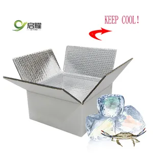 Top Quality Insulated boxes frozen shipping cold chain insulated Cooler Cardboard box Transportation insulated shipping box