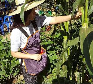 Free sample Fruit Picking Bag, 600D Oxford Cloth Harvest Fruit Vegetable Picking Bag Portable <b>Garden</b> <b>Apron</b> Storage Pouch - Product Image 5