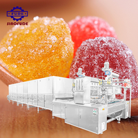 Machine à Gommes Électrique Personnalisée DIY pour Infuser des Bonbons Gommeux Savoureux aux Jus de Fruits et aux Saveurs Herbales, Machine à Mélanger les Bonbons et les Puddings Gommeux