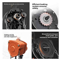 Palans à chaîne manuels de 0,5 tonne, petite taille, chaîne G80, hauteur de levage de 2,5 mètres, pour utilisation en atelier industriel
