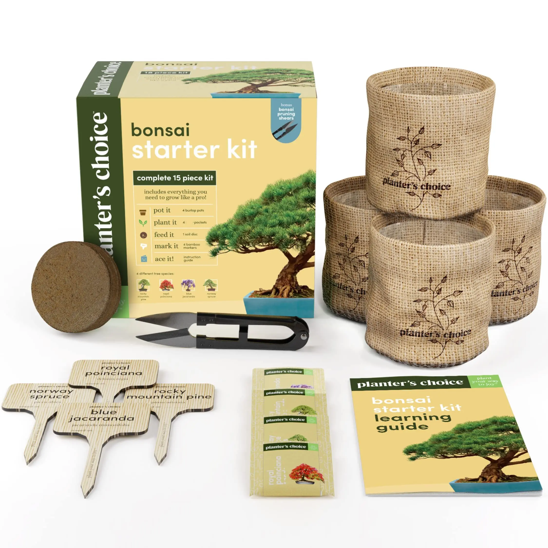 Kit pemula pohon Bonsai Kit penumbuh tanaman Bonsai Mini pohon pinus untuk dekorasi dalam ruangan luar ruangan kotak hadiah kayu