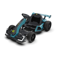 Kartings Électriques de Course 300W, Double Commande, Grande Puissance, Karts à Pédales Électriques pour Drift, Enfants et Adultes, Batterie 24V 5Ah