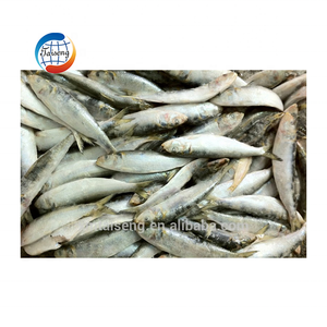 <span class=keywords><strong>Precio</strong></span> <span class=keywords><strong>de</strong></span> sardina <span class=keywords><strong>de</strong></span> China por tonelada <span class=keywords><strong>de</strong></span> sardina al por mayor para importador <span class=keywords><strong>de</strong></span> sardina - Product Image 3
