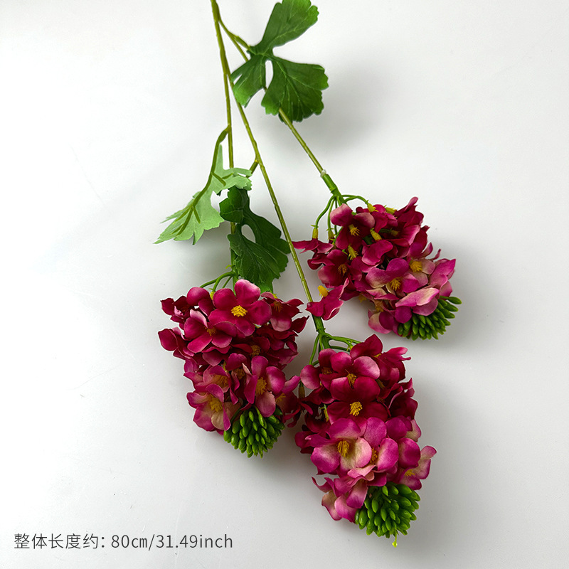 Rose red