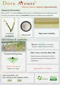 Oligosacárido <span class=keywords><strong>de</strong></span> alginato <span class=keywords><strong>de</strong></span> despertar <span class=keywords><strong>de</strong></span> certificación orgánica para aguacate y olivo enraizamiento Hormon - Product Image 6