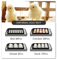 Cadeau du Nouvel An, mini incubateur pour 20 œufs de poisson, incubateur pour œufs