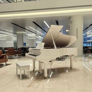 Pianoforte a Coda Professionale in Legno Nero Lucido con 88 Tasti Acustici, con Panca, Strumento Musicale per Hall <span class=keywords><strong>di</strong></span> Hotel - Product Image 4