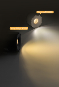 ไฟดาวน์ไลท์ LED แบบติดเพดานทรงกระบอก ยี่ห้อ Aisilan รุ่น Indoor Nordic ปรับความสว่างได้ เหมาะสำหรับทางเดินและห้องนั่งเล่น - Product Image 4