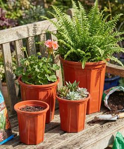 Pot de pépinière rouge UE en plastique robuste pour la culture des plantes, pot de propagation profond et rond pour semis A280 - Product Image 1