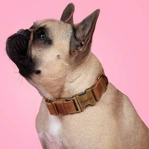 Collar de Cuero, Collar Personalizado para Perro, Hebilla Rústica - Product Image 6