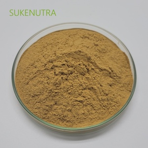 Muira puama chiết xuất bột 10:1, tự nhiên ham muốn tình dục tăng cường & chống mệt mỏi bổ sung, cung cấp số lượng lớn - Product Image 3