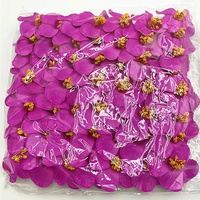 Fait à la main 9cm mousse frangipanier fleur Sinensis 50 pièces/sac têtes de fleurs d'hibiscus tropicales artificielles pour la fête des mères