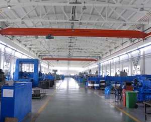 Grúa Puente Monoviga de Alta Calidad, Elevación Eficiente para Uso en Fábrica/Taller - Product Image 4