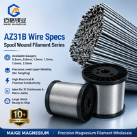 Fil en alliage de magnésium Maige AZ31B, diamètre 0,5-2,0 mm, bobine de filament haute pureté pour soudage électronique 3C, vente en gros