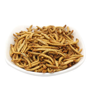 Alimento pequeno do aquário da mealworm da proteína alta, alimentação do pássaro do peixe da frango do alimento - Product Image 1