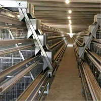 Cage à poules pondeuses de type A, moderne, pour l'élevage de volailles, avec système d'alimentation et d'abreuvement automatique