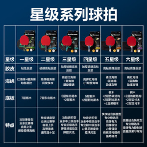 Agnite Table Tennis Racket Level 1 Long Handle Attack Defense Hybrid Shakehand Penhold - Product Image 2
