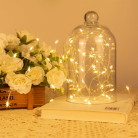 Guirlande lumineuse LED à piles, effet feux d'artifice, avec étoiles scintillantes, pour mariage, jardin, décoration de Noël