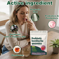 Gummies probiotiques Kombucha OEM avec probiotiques et vitamines pour la santé intestinale des adultes - Sans OGM - Aucun avis pour le moment
